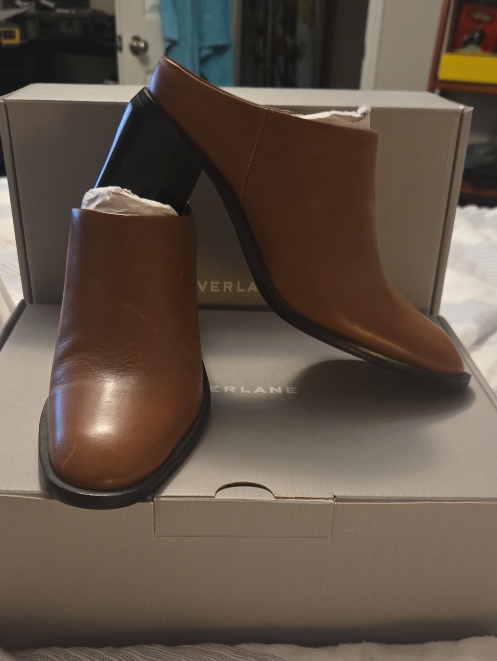 Everlane Brown Italian Leather Slip-On Heeled Mules